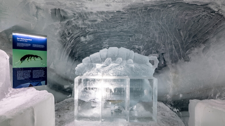 Erforsche den Gletscher im Dachstein Eispalast | © Harald Steiner