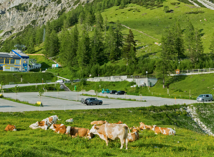 Das Almland vor der Dachstein Talstation | © Bernhard Wieland