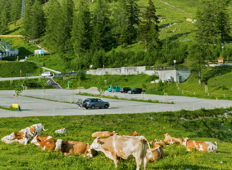 The Almland in front of the Dachstein valley station | © Bernhard Wieland