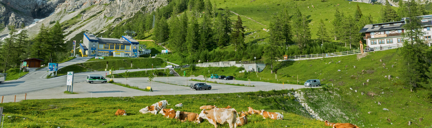 Das Almland vor der Dachstein Talstation | © Bernhard Wieland