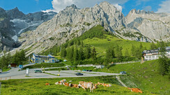 Das Almland vor der Dachstein Talstation | © Bernhard Wieland