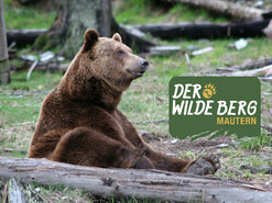 Der Wilde Berg Mautern